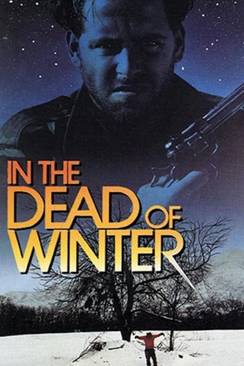 In The Dead Of Winter movie poster