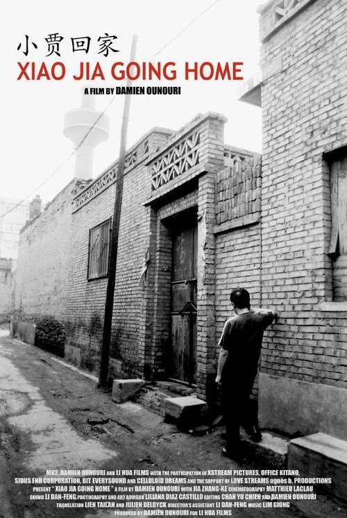 Poster do filme Xiao Jia Going Home