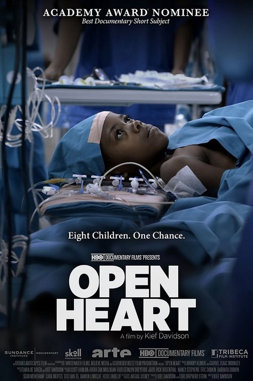 Open Heart movie poster