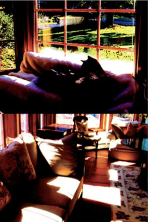 Poster do filme Aberration of Starlight