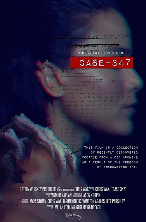 Case 347 movie poster