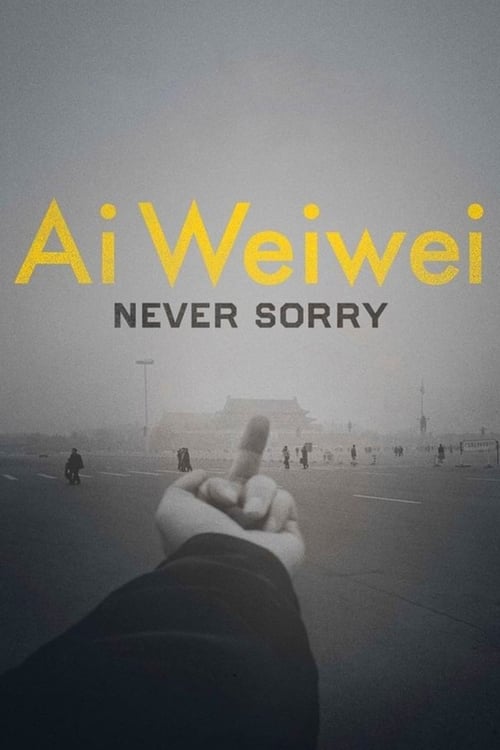Ai Weiwei: Never Sorry movie poster