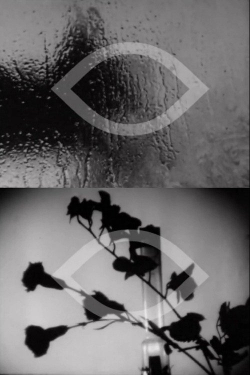 Schetsen in 6 movie poster