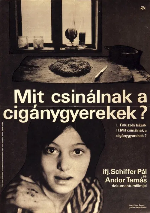 What Do Gypsy Children Do? movie poster