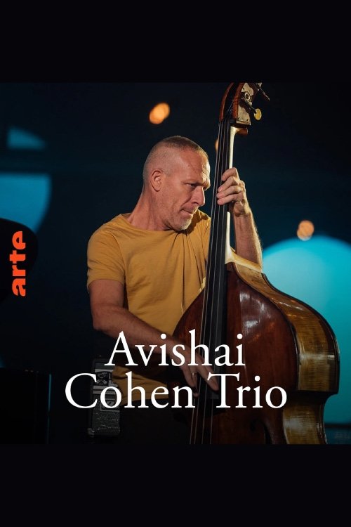 Avishai Cohen Trio – Shifting sands movie poster