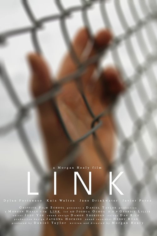 Link movie poster