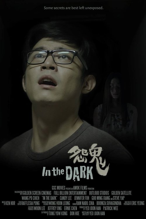 In the Dark movie poster