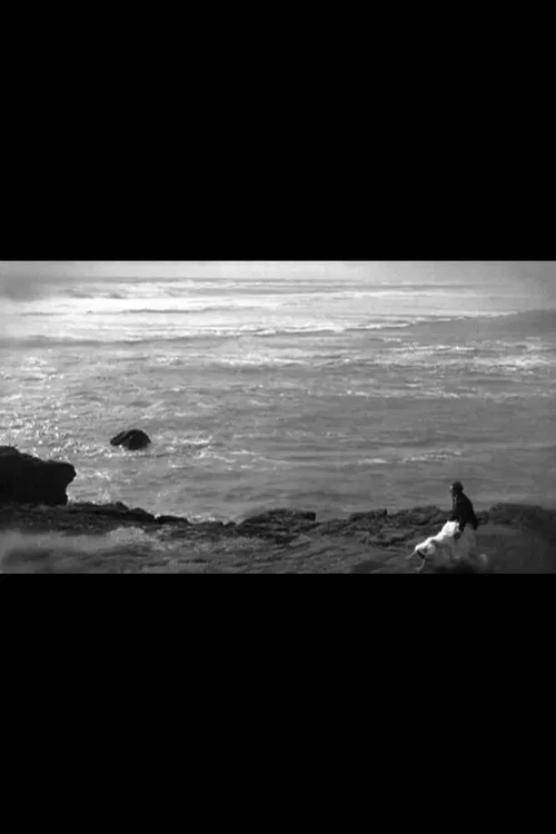 Liebestraume movie poster