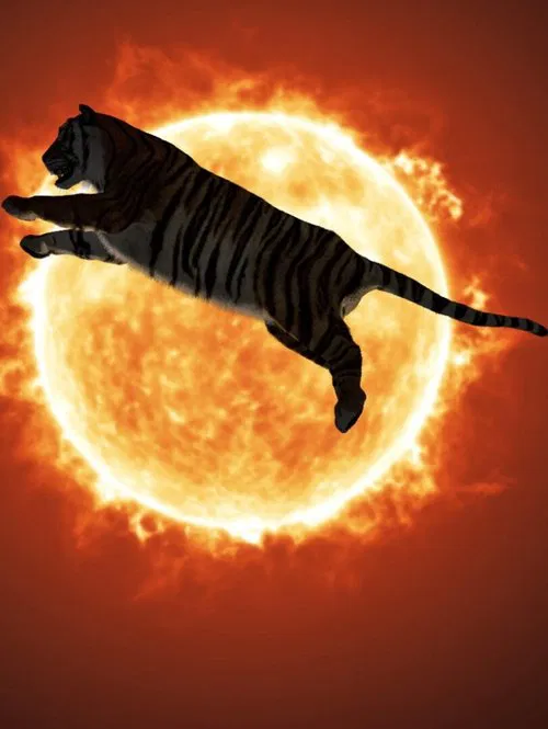 One or Several Tigers movie poster