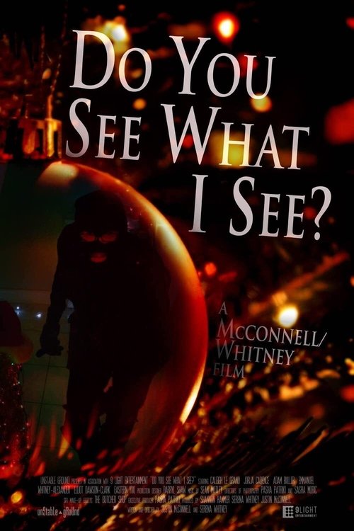Do You See What I See? movie poster