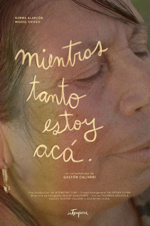 Mientras tanto estoy acá movie poster