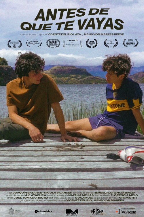 Before You Go movie poster