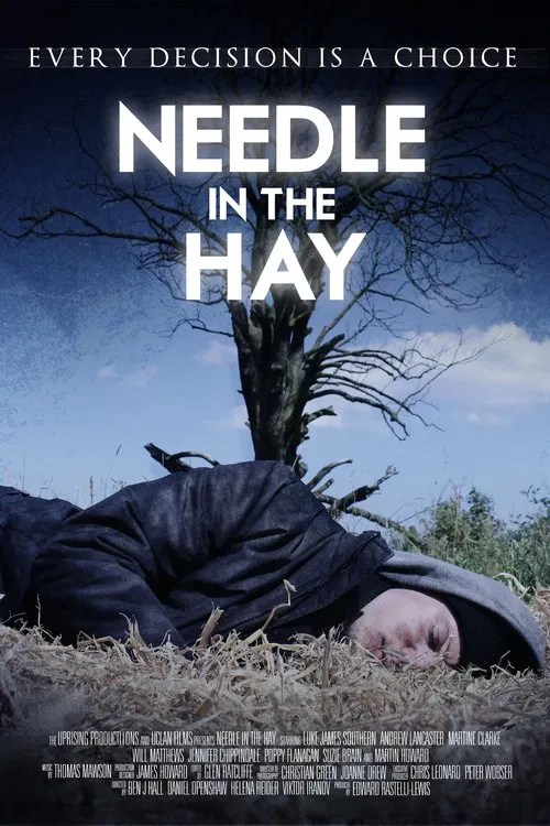 Needle in the Hay movie poster