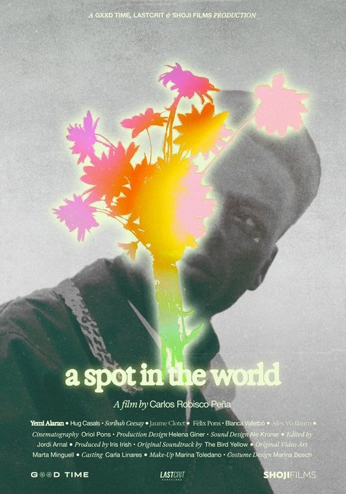 A Spot in the World movie poster