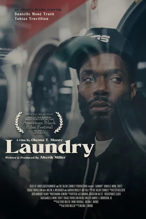 Poster do filme Laundry