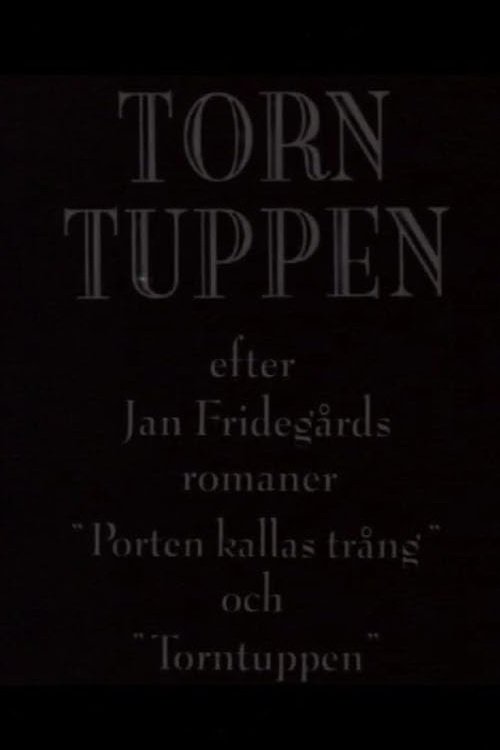 Torntuppen tv show poster
