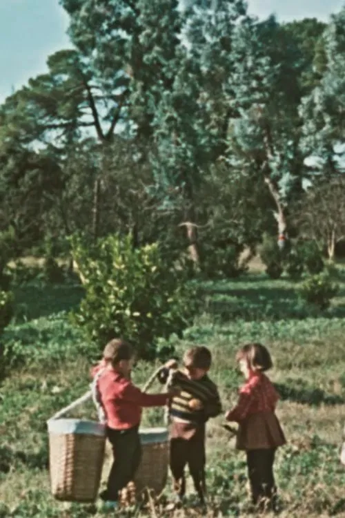 Poster do filme Kolkhida