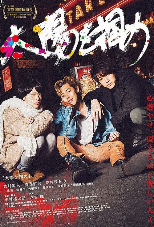 Grab the Sun movie poster