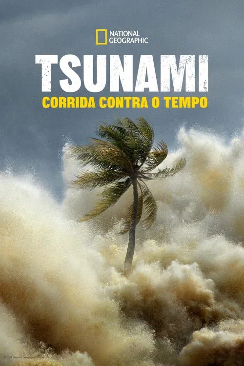 Poster da série Tsunami: Corrida Contra o Tempo