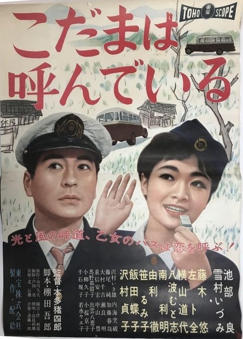 Echo Mountain movie poster