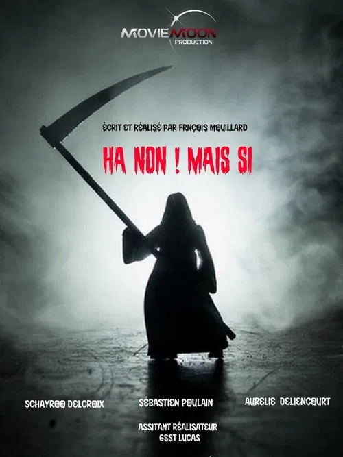 Ha non ! Mais si movie poster