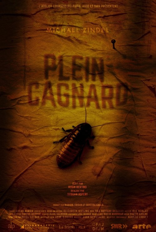 Poster do filme Plein Cagnard