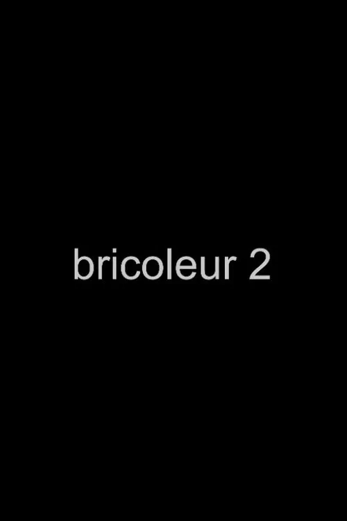 Poster do filme Bricoleur 2