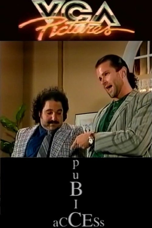 Pubic Access movie poster