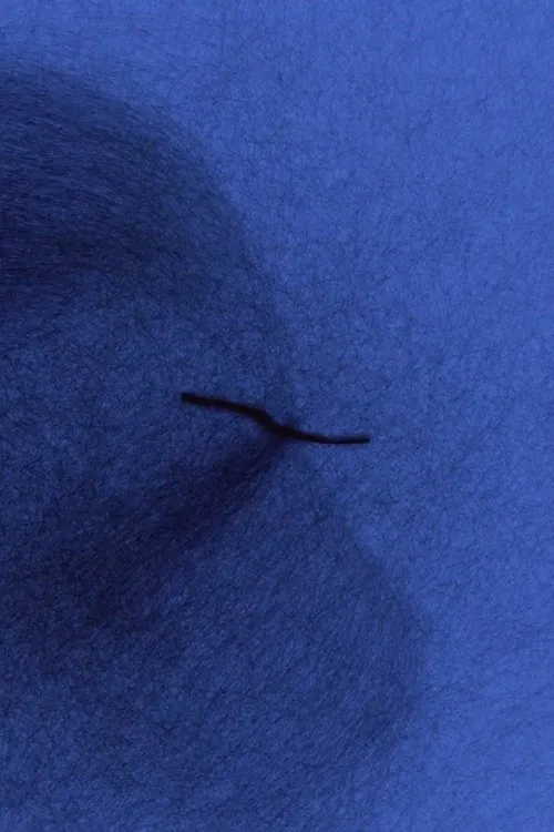 Bionic_Dread movie poster