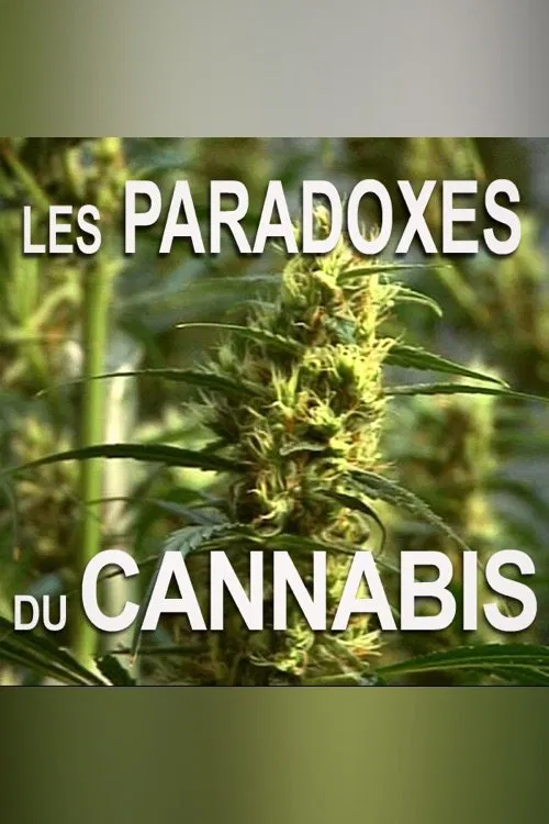 Les paradoxes du cannabis movie poster