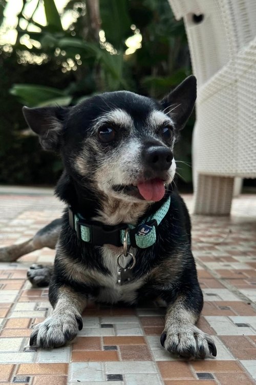 Foto de perfil de Cuki