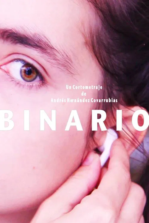 Poster do filme Binary