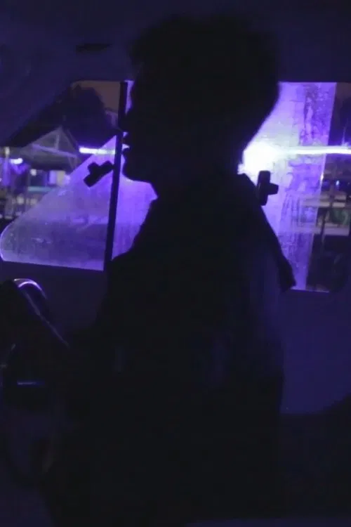 Land Below the Wind movie poster