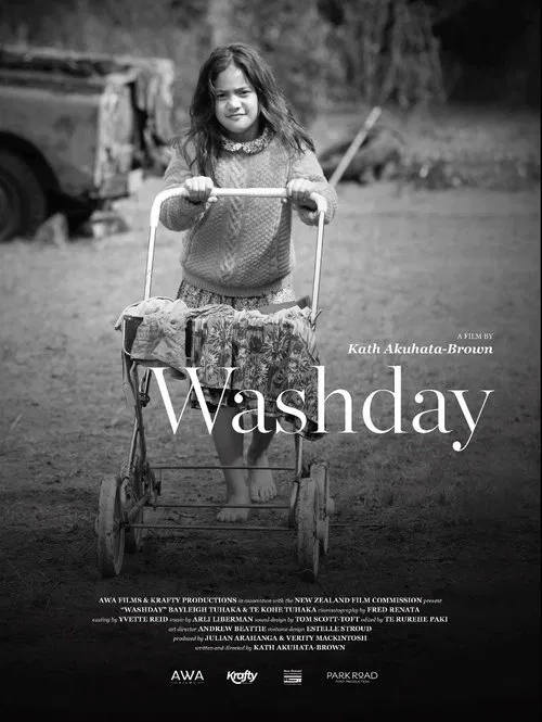 Washday movie poster