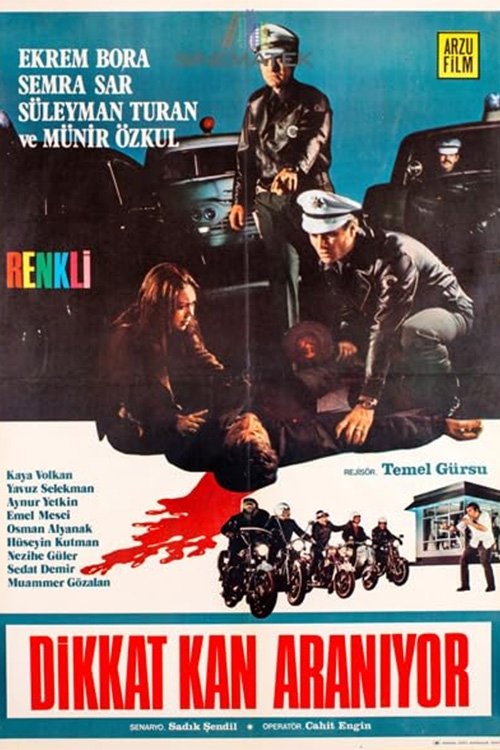 Dikkat Kan Aranıyor movie poster