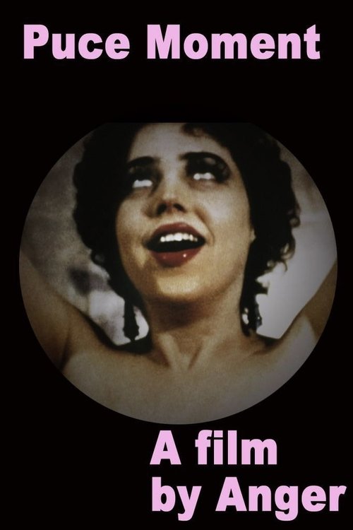 Puce Moment movie poster