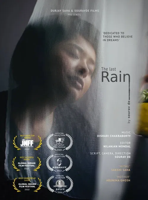 Poster do filme The Last Rain