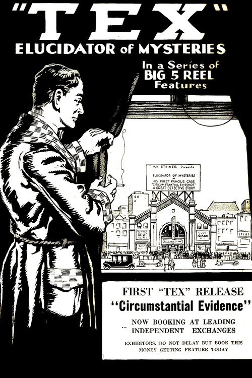 Detective Tex: Circumstantial Evidence movie poster