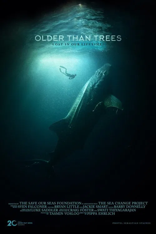 Poster do filme Older Than Trees