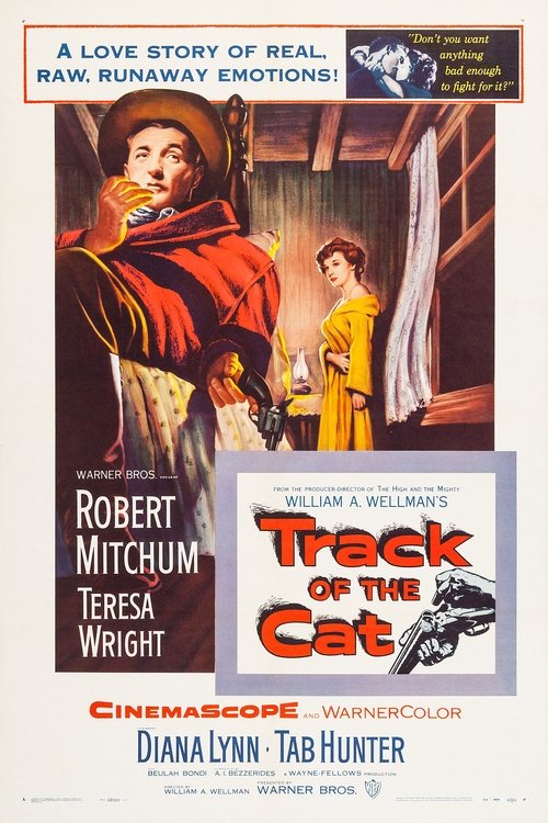 Track of the Cat movie poster