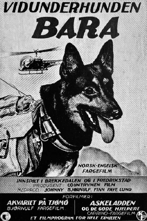 Vidunderhunden Bara movie poster