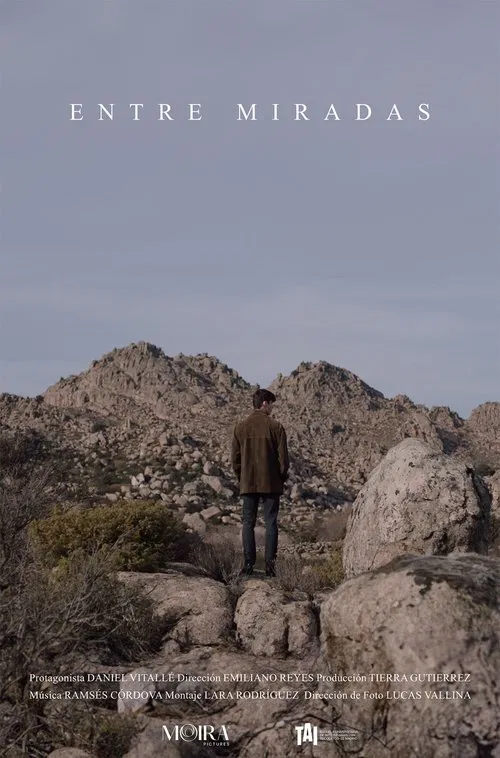 Entre miradas movie poster