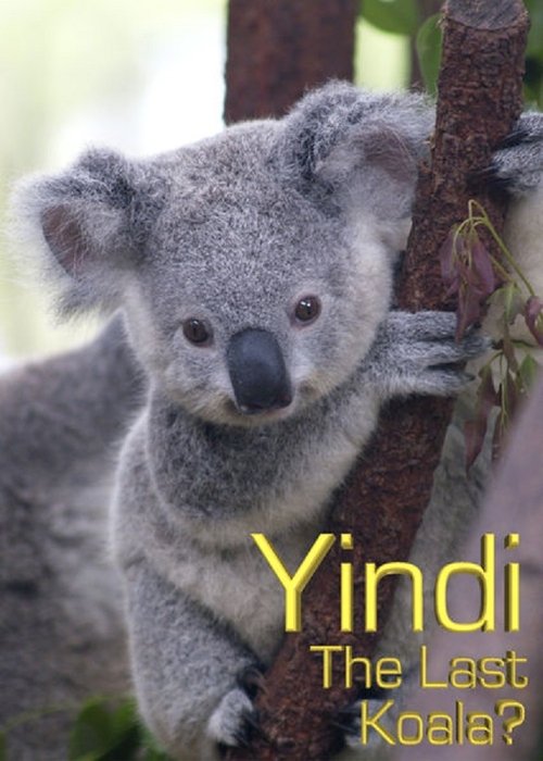 Poster do filme Grainger's World: Yindi: The Last Koala?