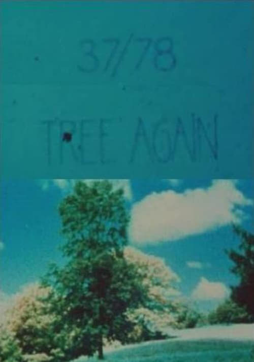 37/78: Tree Again movie poster