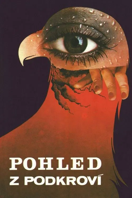 View from the Loft movie poster