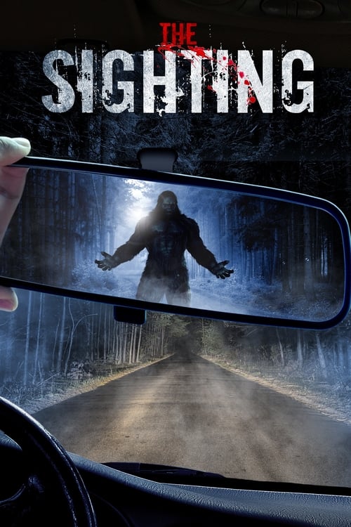 The Sighting movie poster