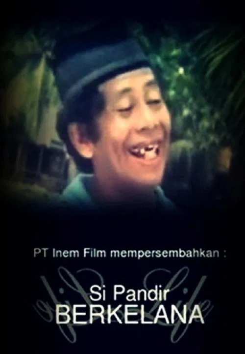 Si Pandir Berkelana movie poster