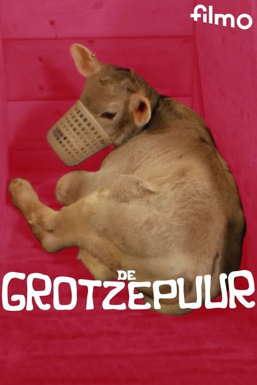 De grotzepuur movie poster