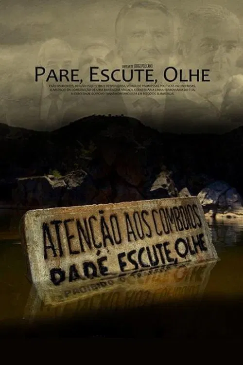 Poster do filme Pare, Escute, Olhe