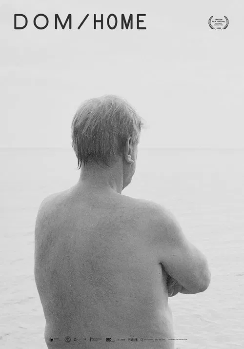 Poster do filme Dom/Home